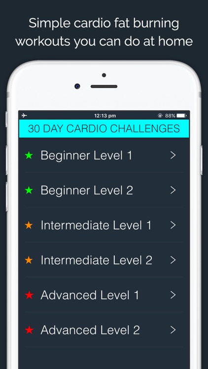 30 Day Cardio Challenge by 30 Day Fit Body