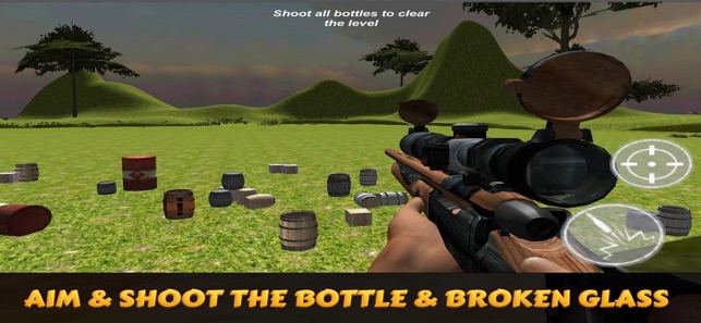 US Expert Bottle Shooter 3D