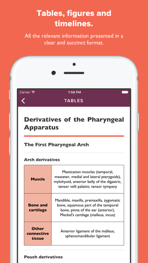 Atlas of Human Embryology(圖3)-速報App