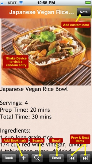 Japanese Cuisine Recipe