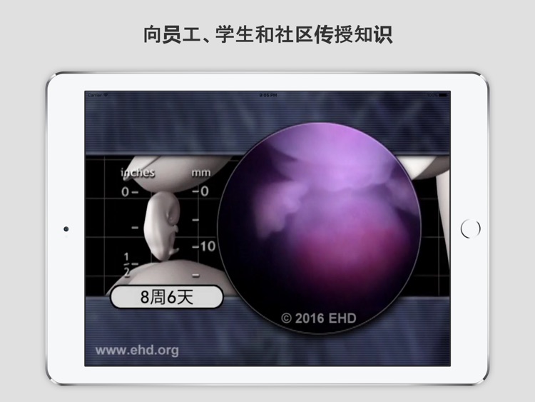 怀孕历程 screenshot-4