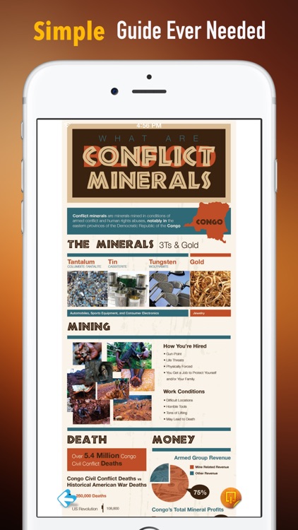 Rocks And Minerals:National Geographic Pocket