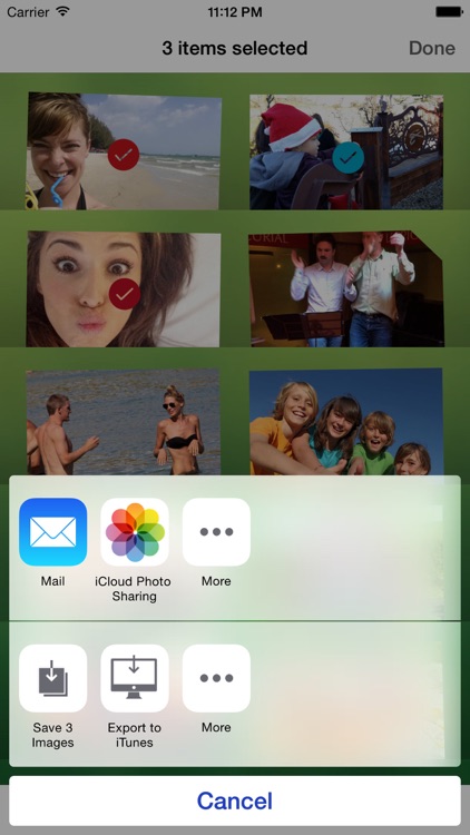 oneSafe Pix 3