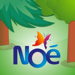 Mission forêt avec Noé