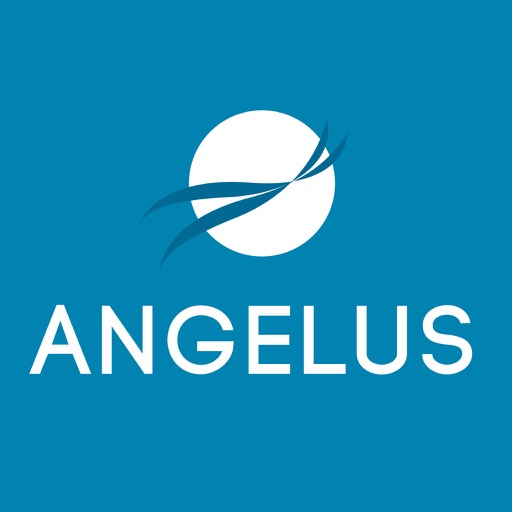 Angelus Sport Low Cost icon