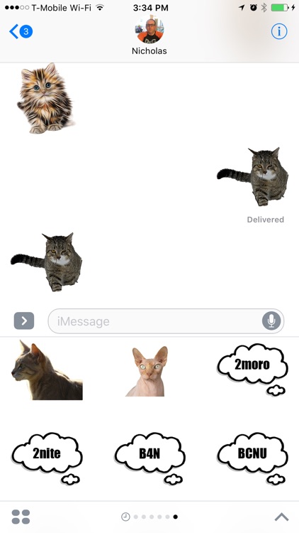 Funny Cat Stickers