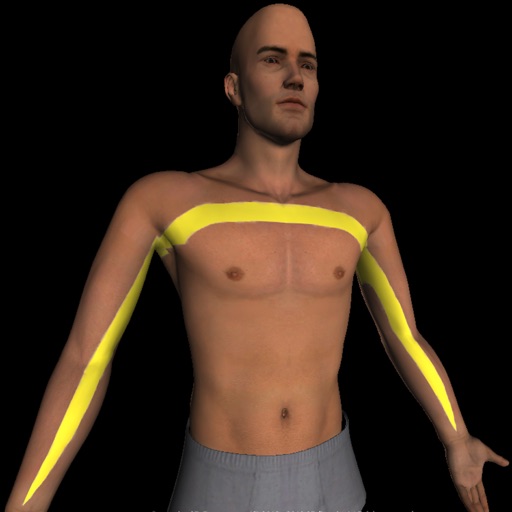 Interactive 3D Dermatomes