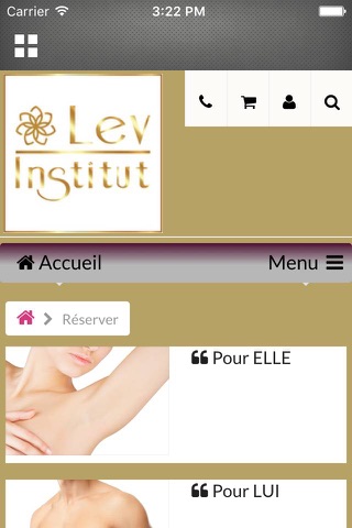 Lev Institut screenshot 2