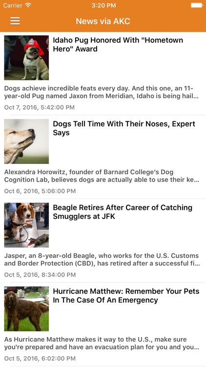 Dog News & Puppy Training Tips Pro
