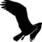 Our goal is to make Osprey the #1 mobile web browser in the world