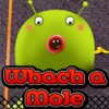 Crazy Animal - Whack A Mole Game