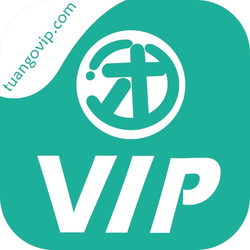 团购VIP icon