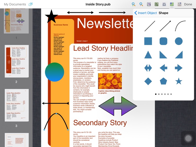 Publisher Expert - Microsoft Publisher Edition