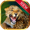 King of Jungle - Free Vegas Styled Original Slot Machines