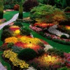 Botanical Garden Guide