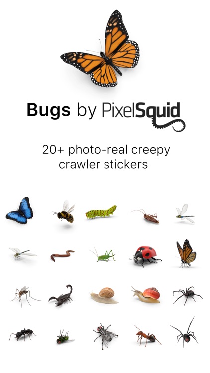 Bugs by PixelSquid