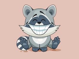 Stkyz: Raccoon