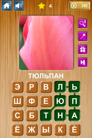 Zoom & Hidden Word screenshot 4