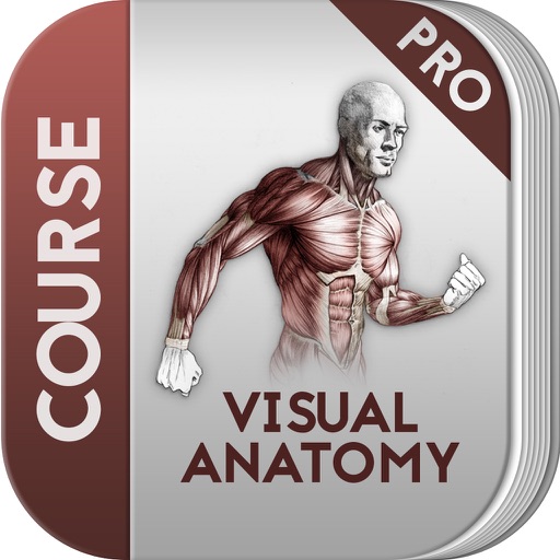 Course for Visual Anatomy icon