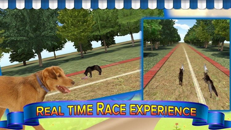 Subway Dog and Angry Rabbit Endless Running Race: Wacky Obstacles and Temple Surfers