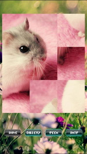 Hamster Puzzles(圖1)-速報App