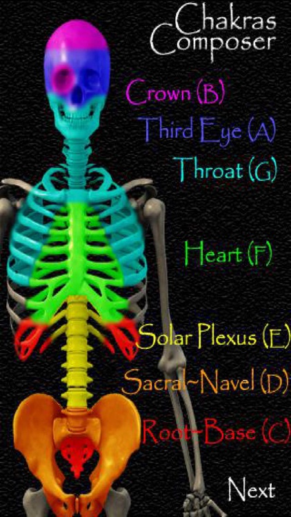 CHAKRAS