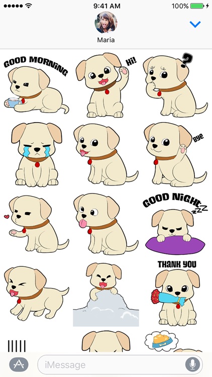 Buddy the Labrador - Dog Stickers