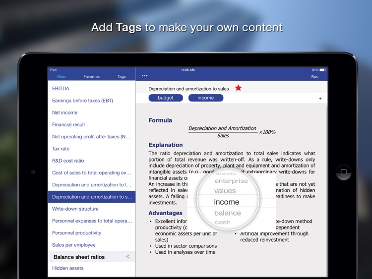 100 Financial Ratios for iPad