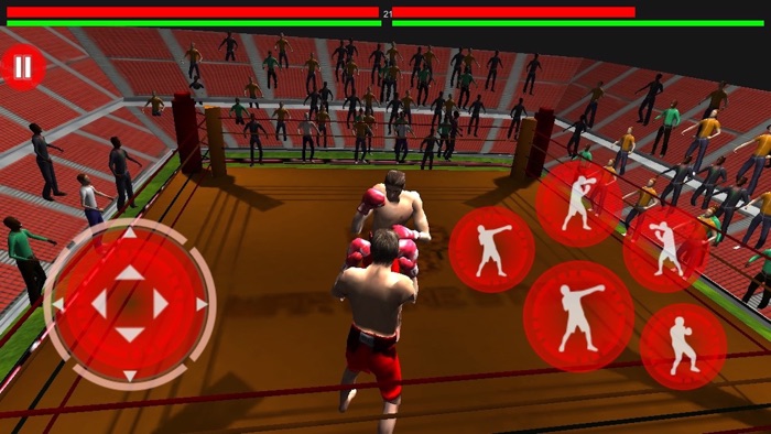 Deadly Virtual champion internatinal Boxing