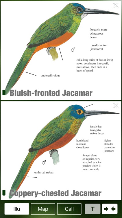 All Birds Northern Peru - a field guide to all the bird species recorded in this region of South America screenshot-3