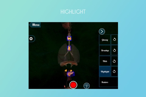 VR Endocrine Glands Female screenshot 3