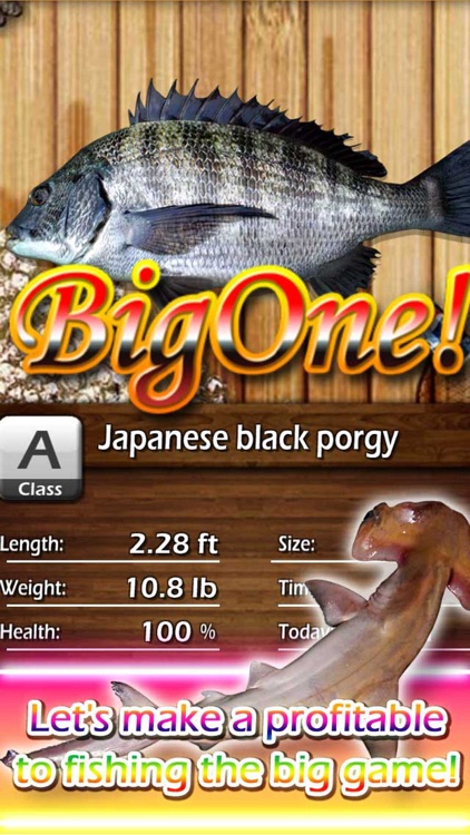BigOne! World Tour Fishing screenshot-4