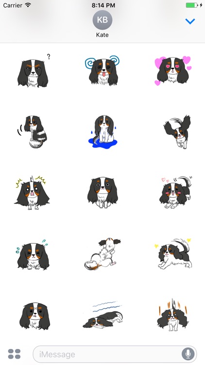 Cavalier King Animated Sticker