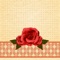 Dress up your iPhone & iPad home screen with girly and cute wallpapers