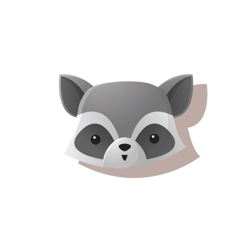 Kyoto Raccoon