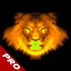 Attack Lion Ultimate: Instinct Animal PRO
