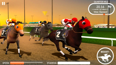 Photo Finish Horse Racing: Quest for the Cup Screenshot 4