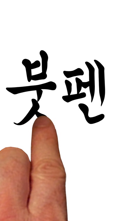 Ink Brush Pro