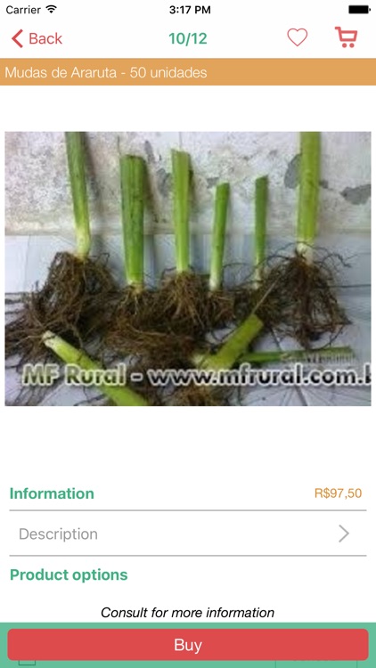 Edvandro Franca Santos