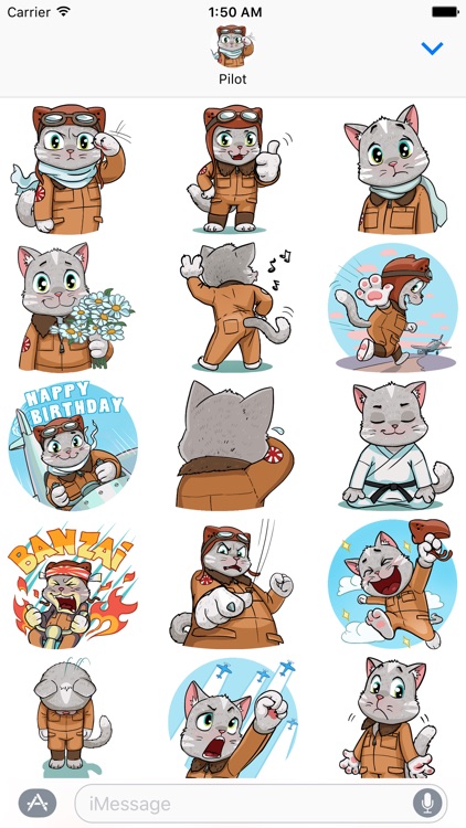 Kamikaze Cat