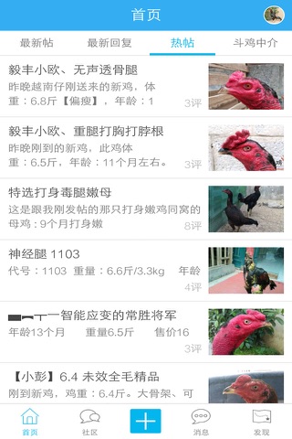 中国斗鸡论坛 screenshot 4