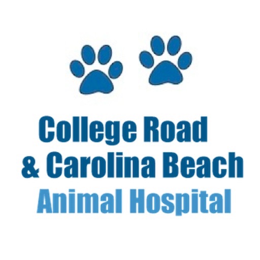 College Road & Carolina Beach Animal Hospital