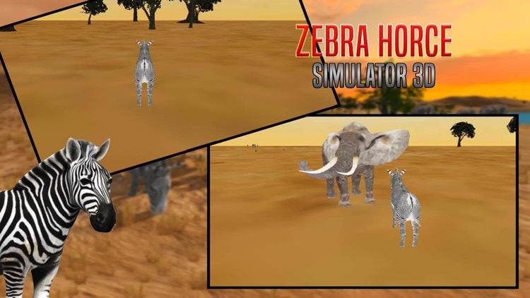 Zebra Horce Simulator 3D screenshot-3