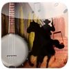 Banjo Tuner - Learn How To Play Banjo With Videos