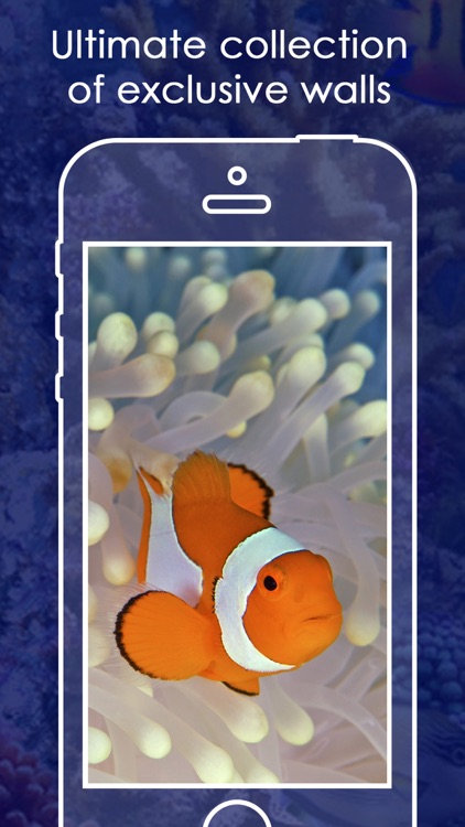 Live Aquarium HD Wallpapers | Backgrounds