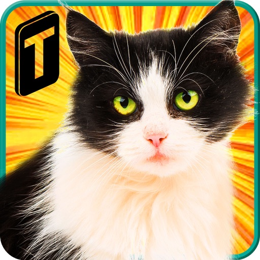 Street Cat Sim 2016 iOS App