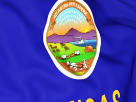 Kansas Flag Stickers