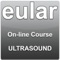 The EULAR Online Introductory Ultrasound Course is an electronic form of continuous medical education in rheumatology