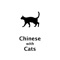 Learn chinese with cat