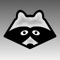 Help the raccoon Smithee  to cross the river